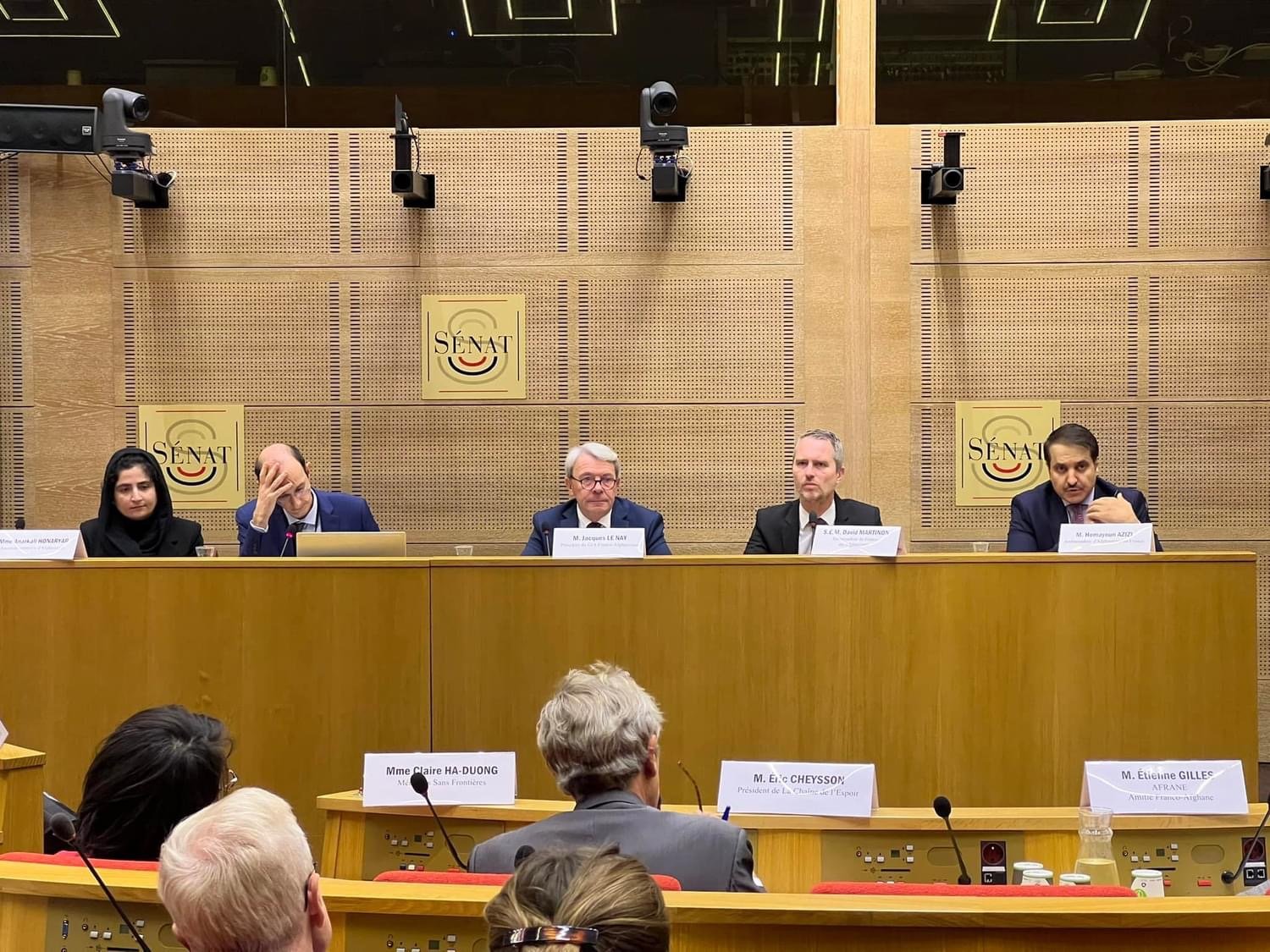 enfents d'afghanistan, Paris, France, reza jafari